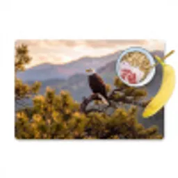 Zeearend - Boom - Bergen - Groen Placemat vinyl groot -zzzproduct_Kitchenyeah-website