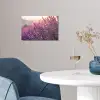 Lavendel - Paars - Zonlicht poster papier klein -sfeer3