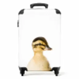 Daisy Duck NBS - Handbagage koffer - Unisex middel -productfoto_recht