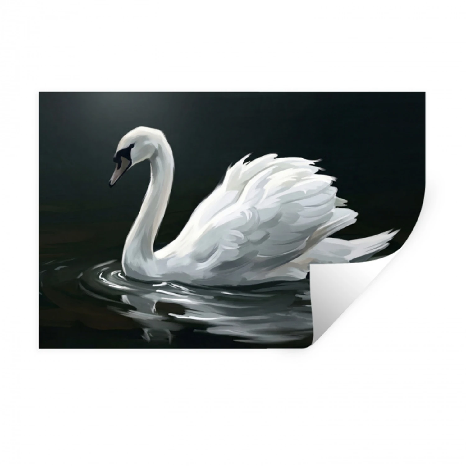 Zwaan - Water - Natuur - Realistisch - Wit Muursticker klein -3d
