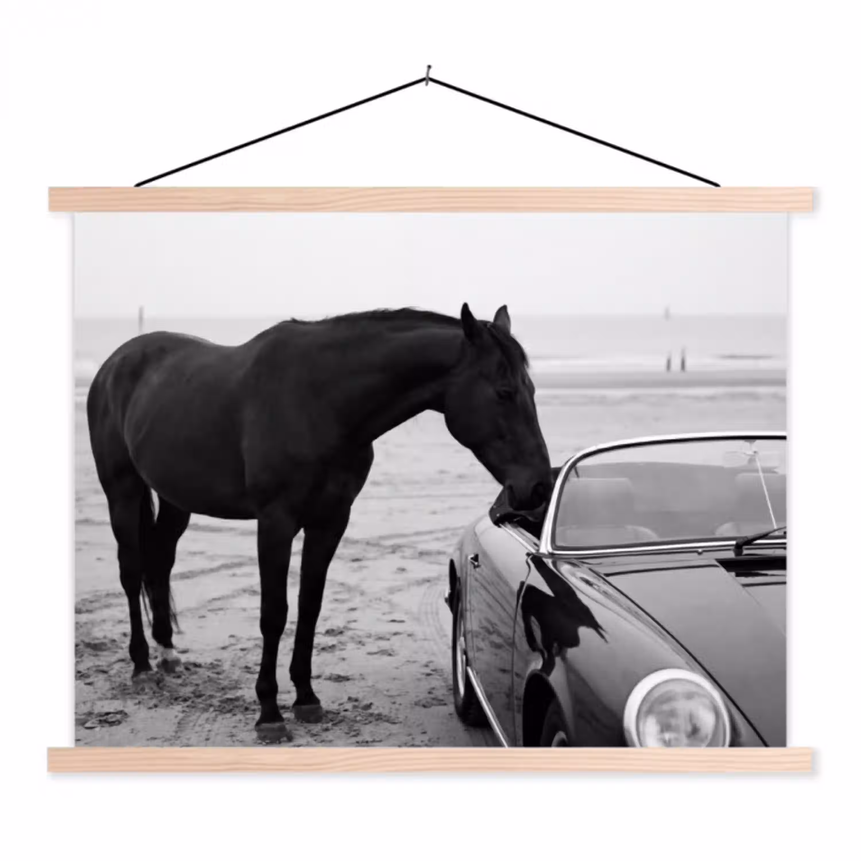 Paard - Auto - Zwart - Wit textielposter latten blank klein -3d