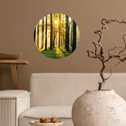 Bos - Zon - Bomen - Gras - Landschap  - Natuur Wandcirkel behangsticker klein -sfeer1
