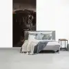 Schotse hooglander - Goud - Koebel - Hoorns - Dieren fotobehang vinyl groot -slaapkamer