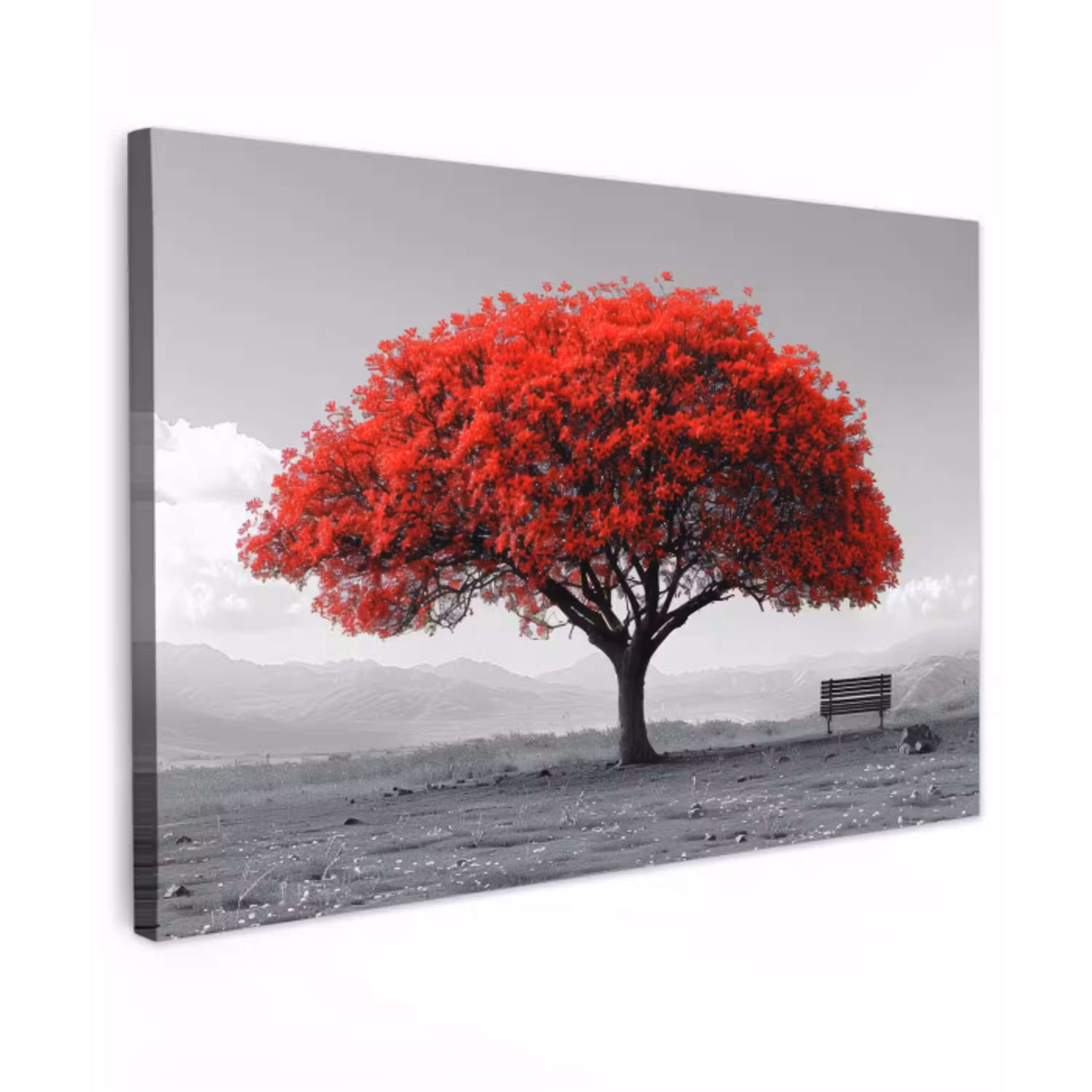 Boom - Rood - Natuur - Zwart wit canvas 2cm klein -z3d