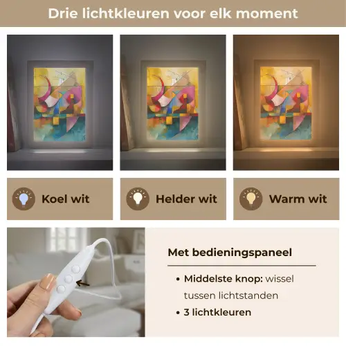 Kunst - Abstract - Aesthetic - Kleurrijk - Art Light Box met kabel (Tafellamp) klein -USP_lichtkleurNL