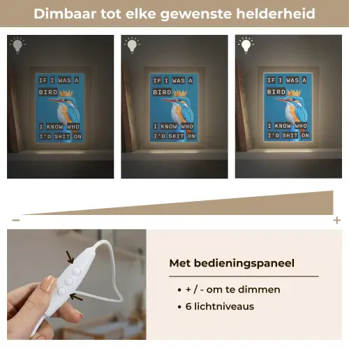 Vogel - Decoratie - Ijsvogel - Blauw Light Box met kabel (Wandlamp) klein -USP_dimbaarNL