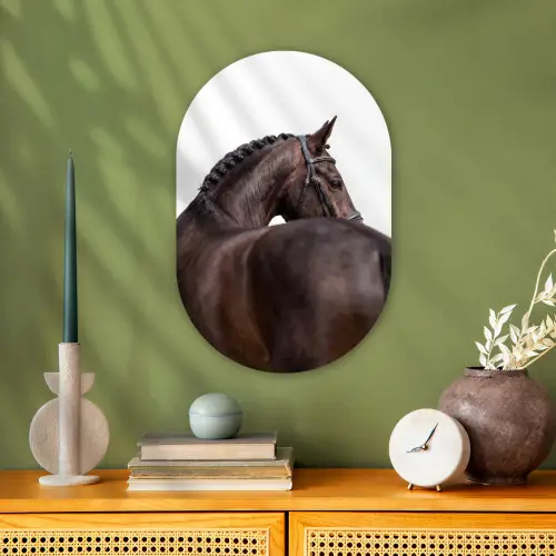 Portret - Paard - Elegant Wandcirkel Ovaal Forex klein -sfeer2