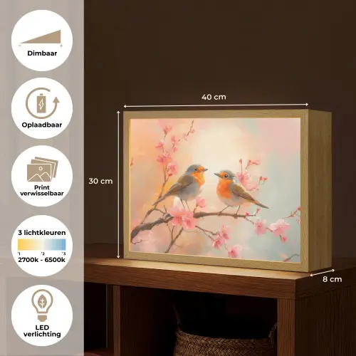 Roodborstjes - Sierlijk - Bloesemtak Light Box met batterij (Wandlamp) middel -USP_websiteoverzichtNL
