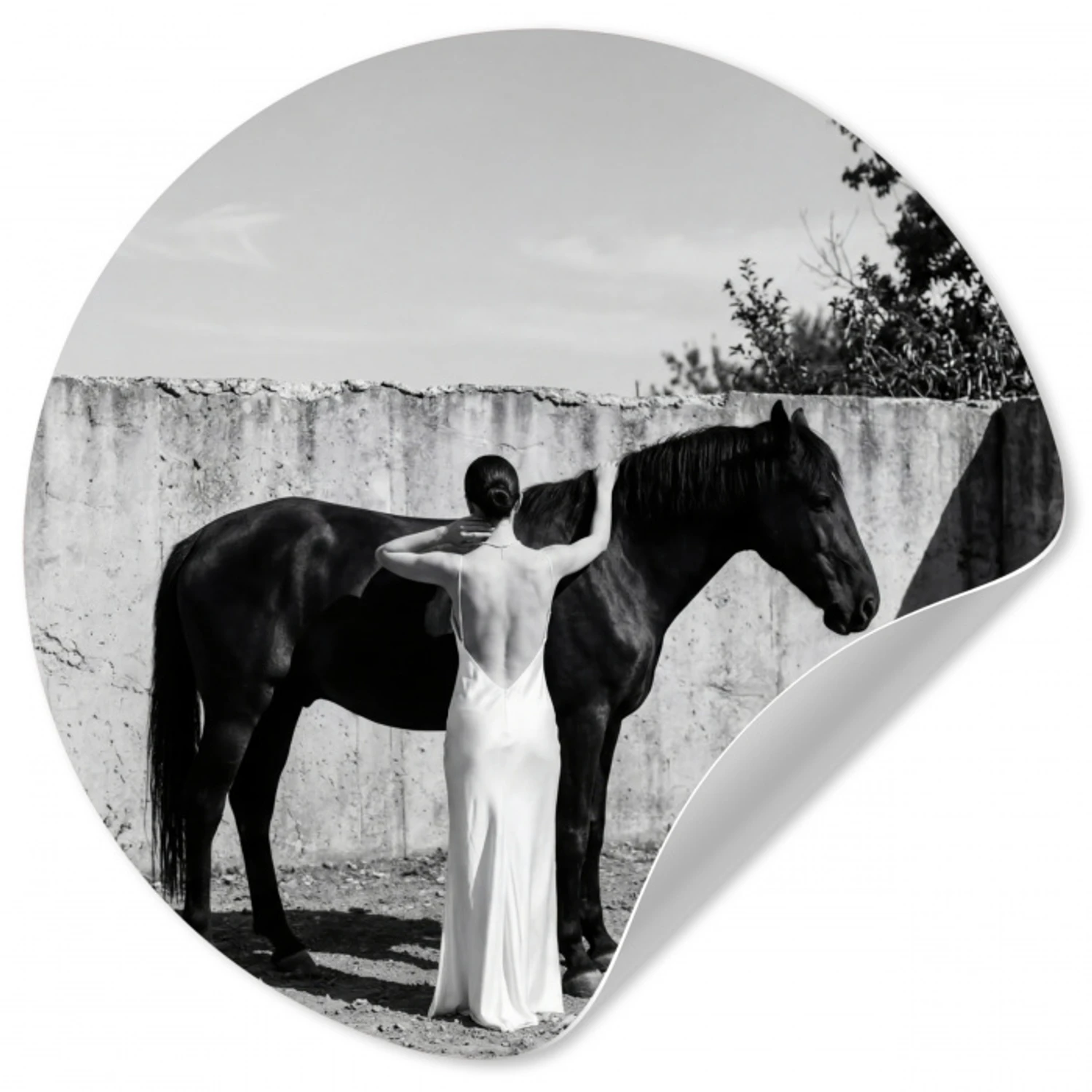 Vrouw - Paard - Artistiek Wandcirkel behangsticker klein -3d