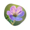 Bloem - Close up - Paars Wandcirkel Organisch Forex 3mm klein -3d