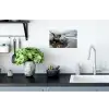 Schelp - Strand - Blauw - Zee Muursticker klein -keuken