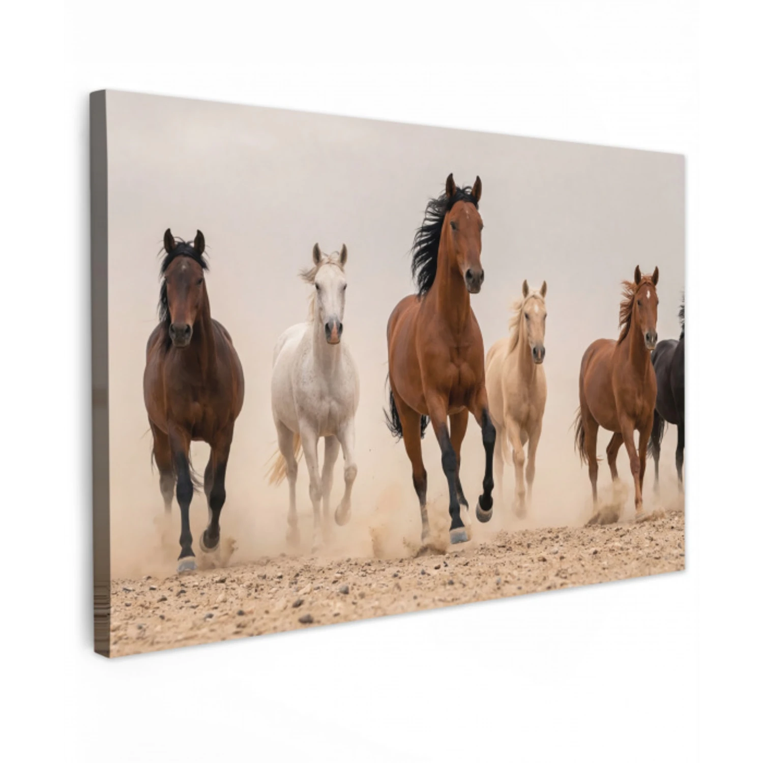 Kudde paarden - Stofwolk - Bruin - Zwart canvas 2cm klein -z3d