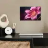 Roze - lelie - Dauwdruppels poster papier klein -sfeer1