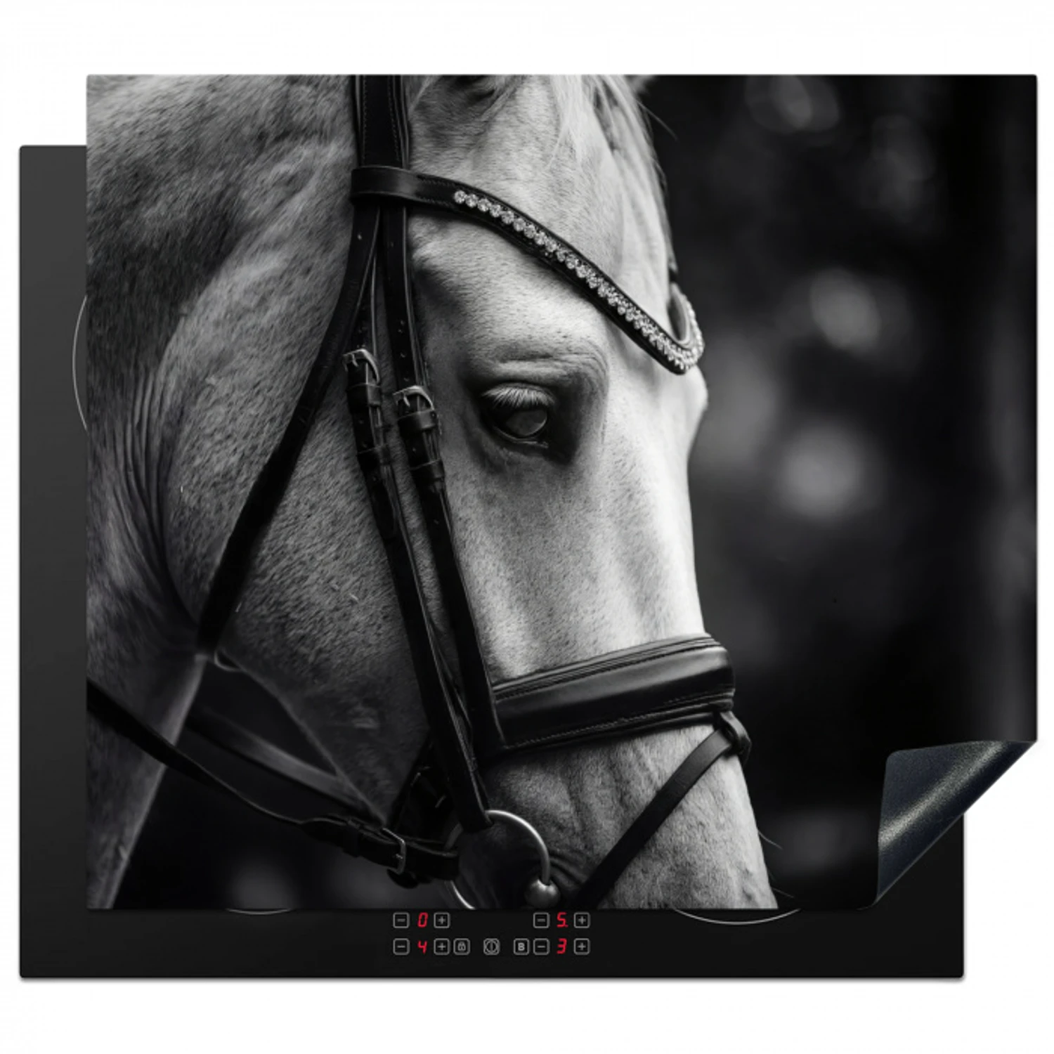 Paard - Schimmel - Portret Inductie beschermer vinyl 3mm middel -3d