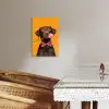 Hond - Oranje - Roos - Valentijn KitchenYeah - Keuken - Canvas klein -sfeer3