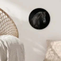 Paard - Dieren - Zwart - Portret Wandcirkel kunststof plaat 5mm dik klein -sfeer5