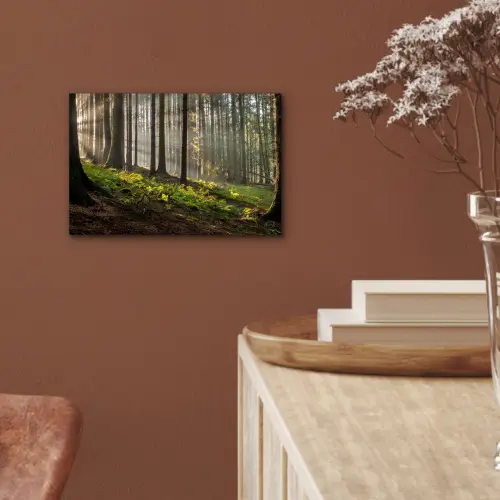 Zon - Takken - Bomen - Bos - Natuur aluminium wit klein -sfeer4