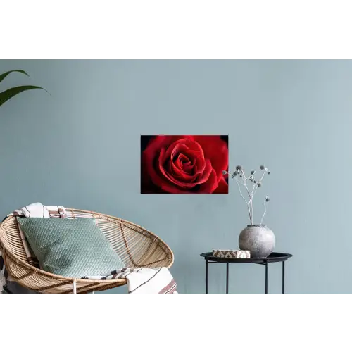 Rood - Roos - Romantisch Muursticker klein -plant