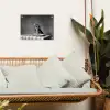 Bengaal - Kat - Tafelkleed - Zwart - Wit - Dier tuinposter los doek klein -sfeer7