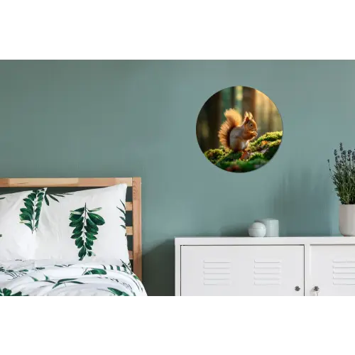 Eekhoorn - Nootje - Gras Wandcirkel aluminium klein -slaapkamer