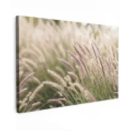 Gras - Close up - Groen canvas 2cm klein -z3d
