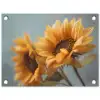 Zonnebloemen - Geel - Wazig tuinposter los doek klein -3d