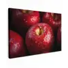 Rood - Appels - Fruit canvas 2cm klein -z3d