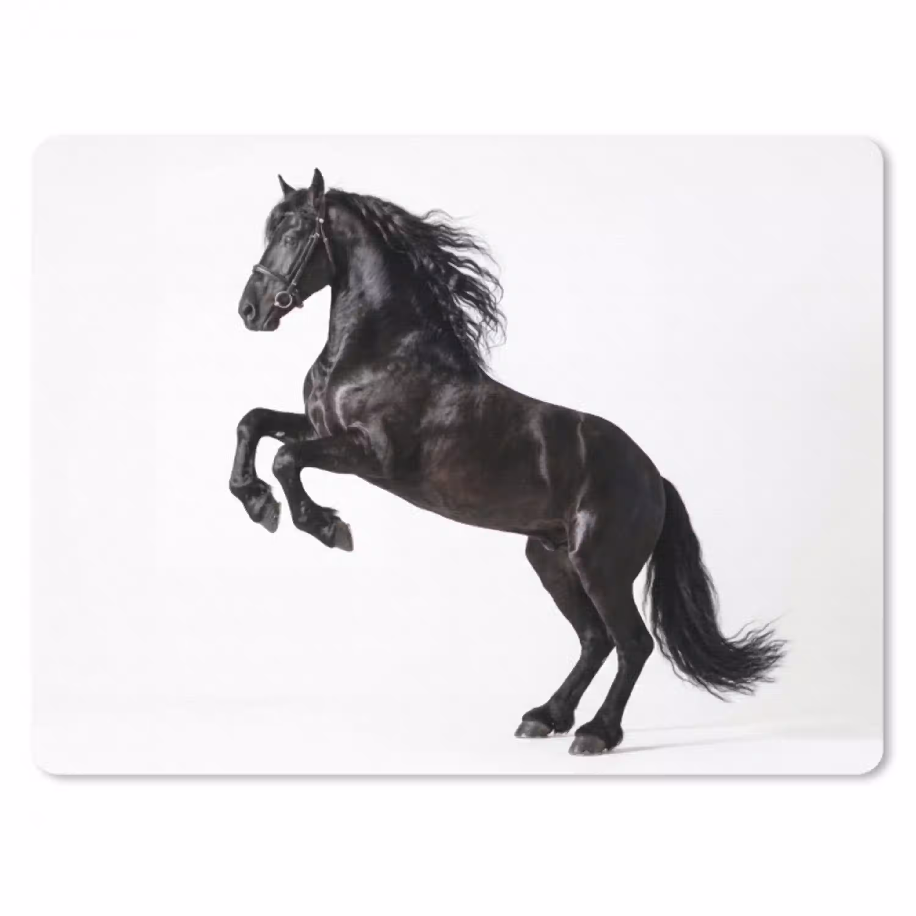 Zwart - Paard - Portret muismat rubber klein -3d