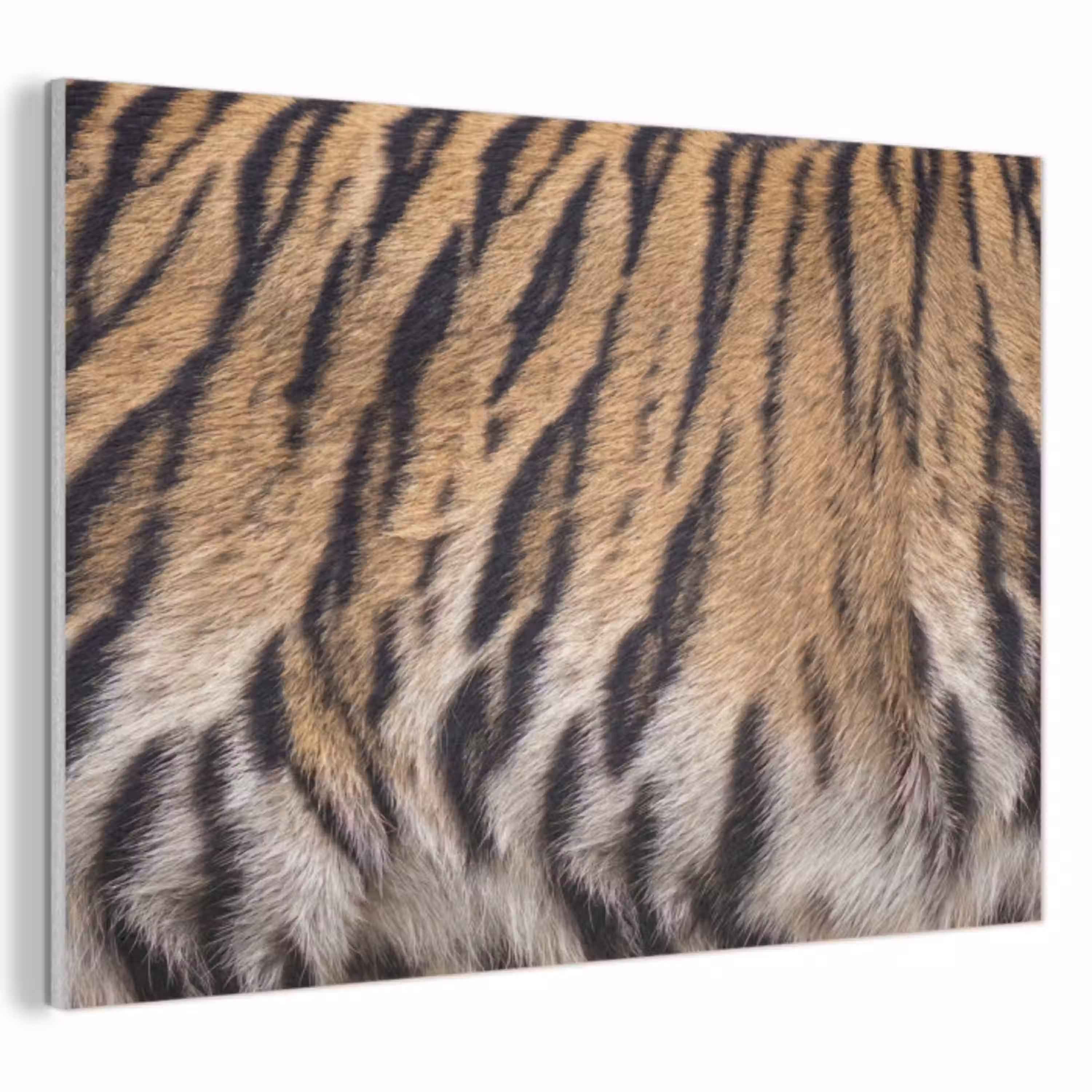Tijgervacht - Klassiek - Zwart PET vilt klein -3d