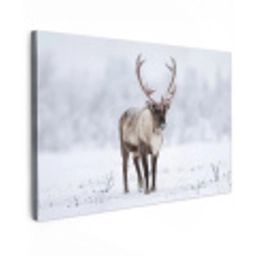Rendier - Gewei - Toendra - Sneeuw - Wild canvas 2cm klein -z3d