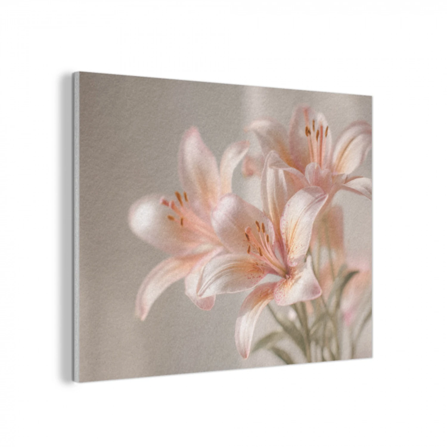 Lelies - Meeldraden - Roze - Wazig PET vilt klein -3d