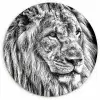 Portret - Leeuw - Zwart wit Wandcirkel kunststof plaat 5mm dik klein -3d