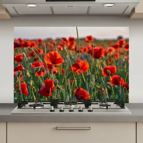 Bloemen - Klaprozen - Natuur - Rood keuken achterwand spatscherm klein -3d_website