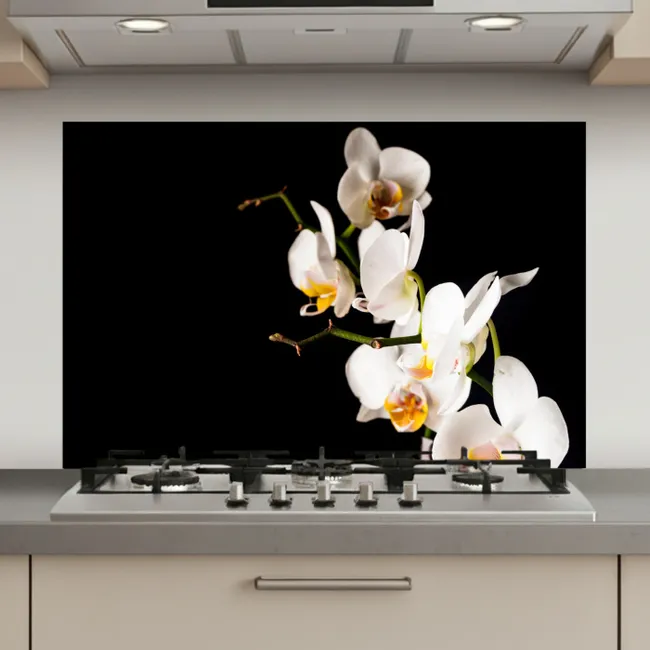Orchidee - Bloemen - Planten - Botanisch keuken achterwand spatscherm klein -3d_website