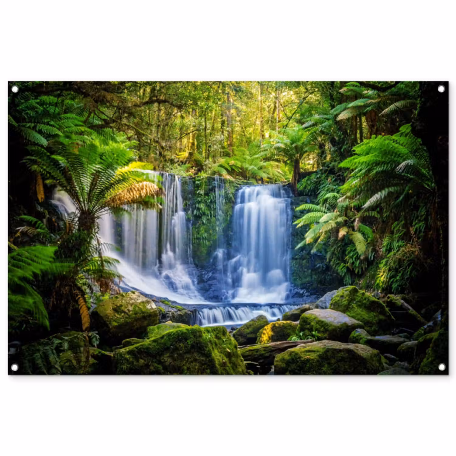 Tuinposter - Waterval in het Regenwoud