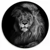 Leeuw - Ogen - Oranje - Zwart wit - Dieren - Portret Wandcirkel kunststof plaat 5mm dik klein -3d