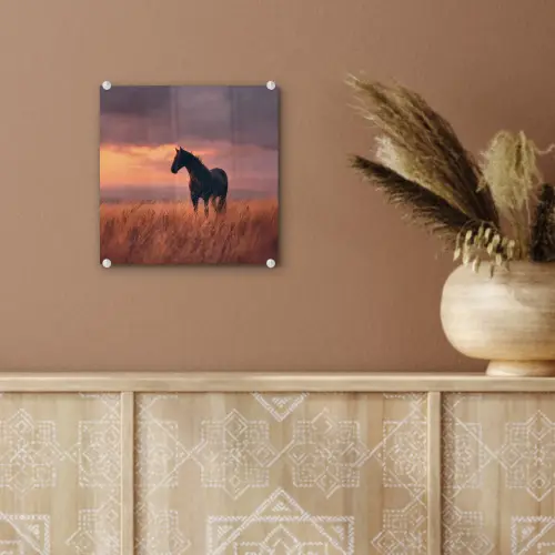 Paard - Wolken - Open veld plexiglas 5mm klein -sfeer5