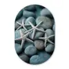 Zeesterren - Stenen - Wit Wandcirkel Ovaal Forex klein -3d