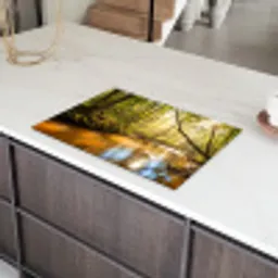 Bos - Beek - Zonlicht - Natuur - Groen Inductie beschermer vinyl 3mm klein -sfeer8
