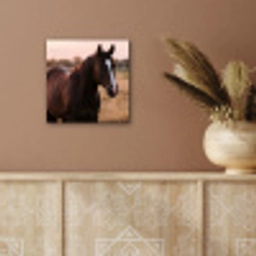 Paard - Zonsondergang - Bruin aluminium wit klein -sfeer4