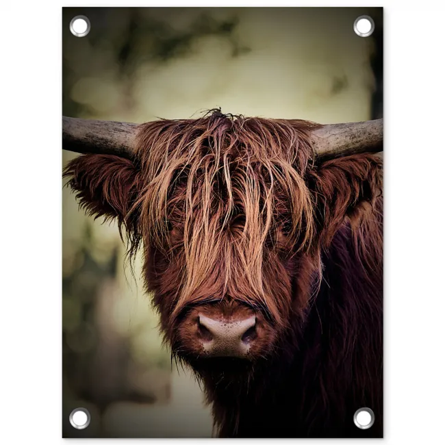 Majestueuze Hooglander in het Donker tuinposter los doek klein -3d