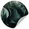 Groen - Bladeren - Glad - Nerven Wandcirkel behangsticker klein -3d