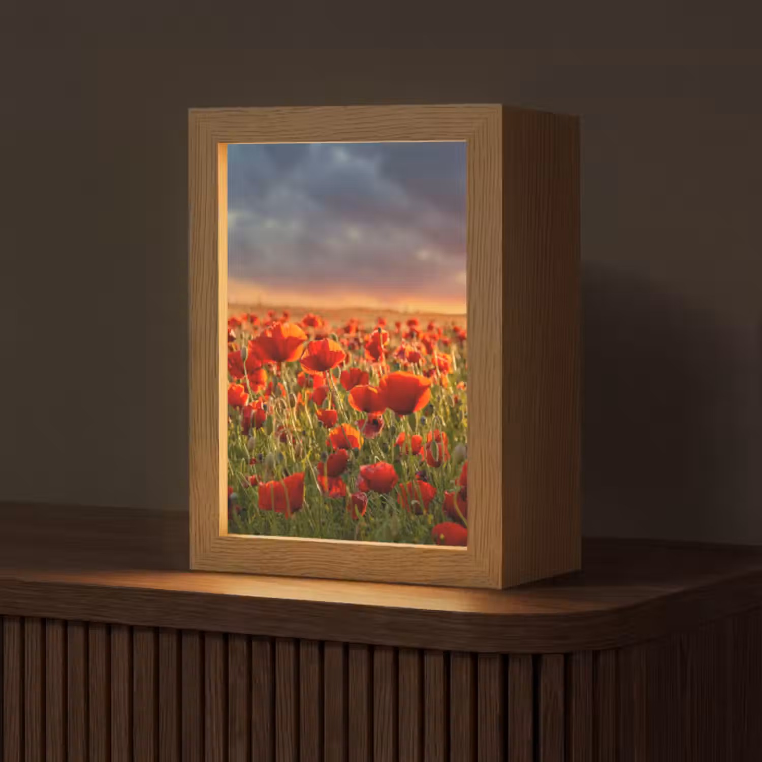 Tischlampe - Sonnenuntergang - Mohnblumen - Rot - Blumen - Feld - Natur