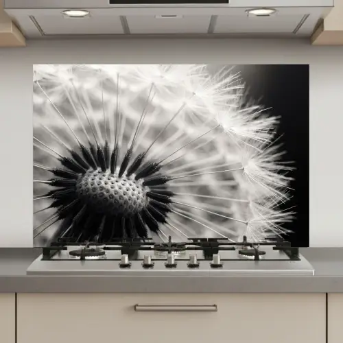 Paardenbloem - Zwart - Wit keuken achterwand spatscherm klein -3d_website