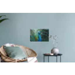 Pauw - Veren - Blauw Muursticker klein -plant
