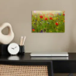 Lente - Bloemen - Rood - Klaproos - Gras - Groen poster papier klein -sfeer1