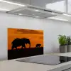 Olifanten - Savanne - Zonsondergang keuken achterwand spatscherm klein -3d_schuin