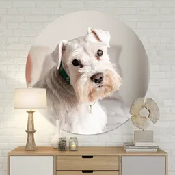 wandcirkel-aluminium-sfeerbeeld-1b.png