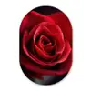 Rood - Roos - Romantisch Wandcirkel Ovaal Forex klein -3d