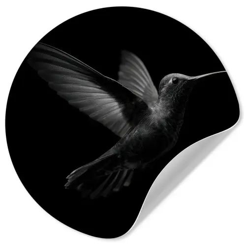 Kolibrie - Zwart - Dieren Wandcirkel behangsticker klein -3d